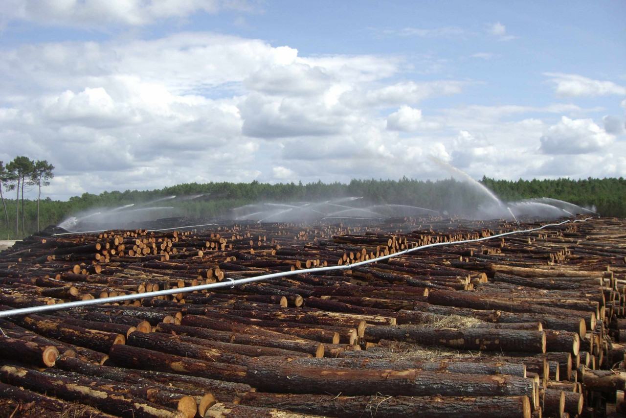 Bauer Holzplatzberegnung