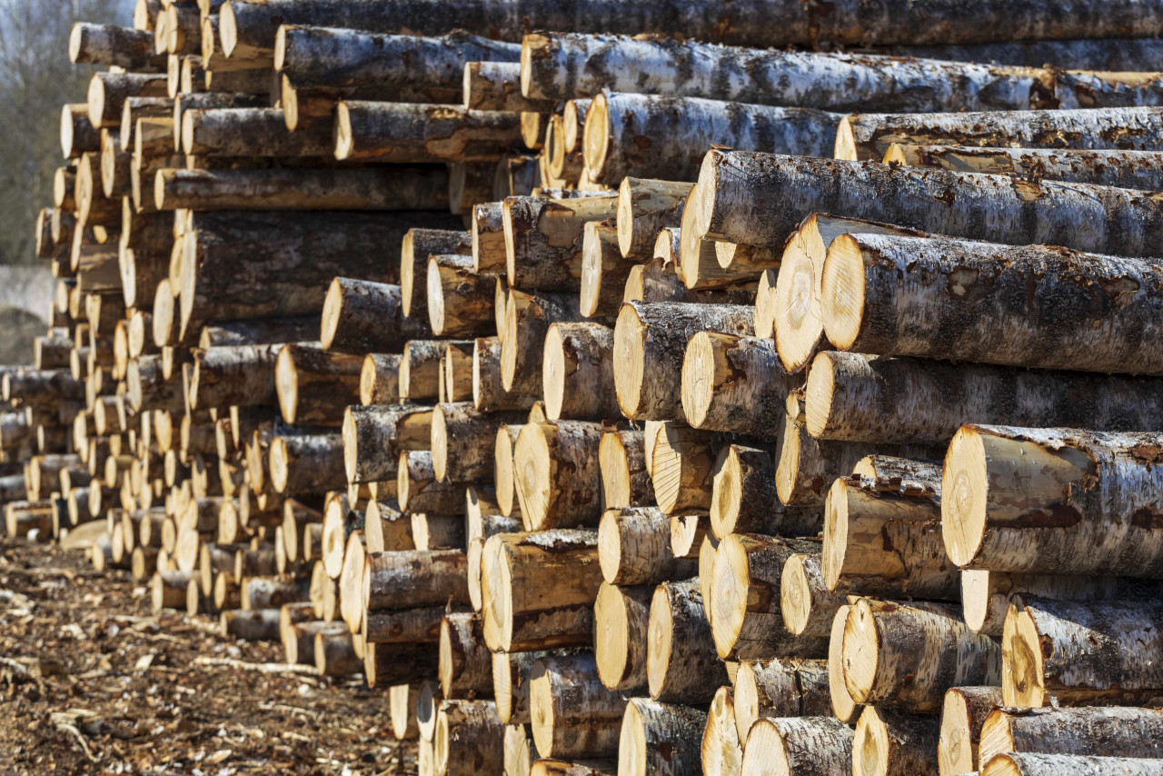 Bauer Holzplatzberegnung