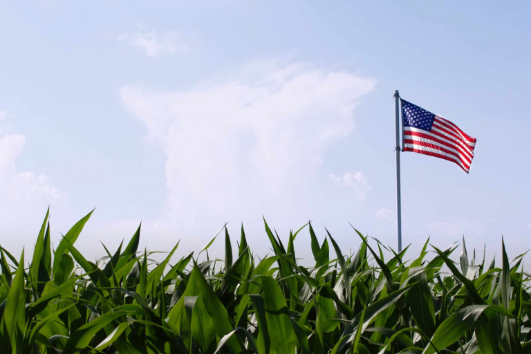 USA_Corn.Flag
